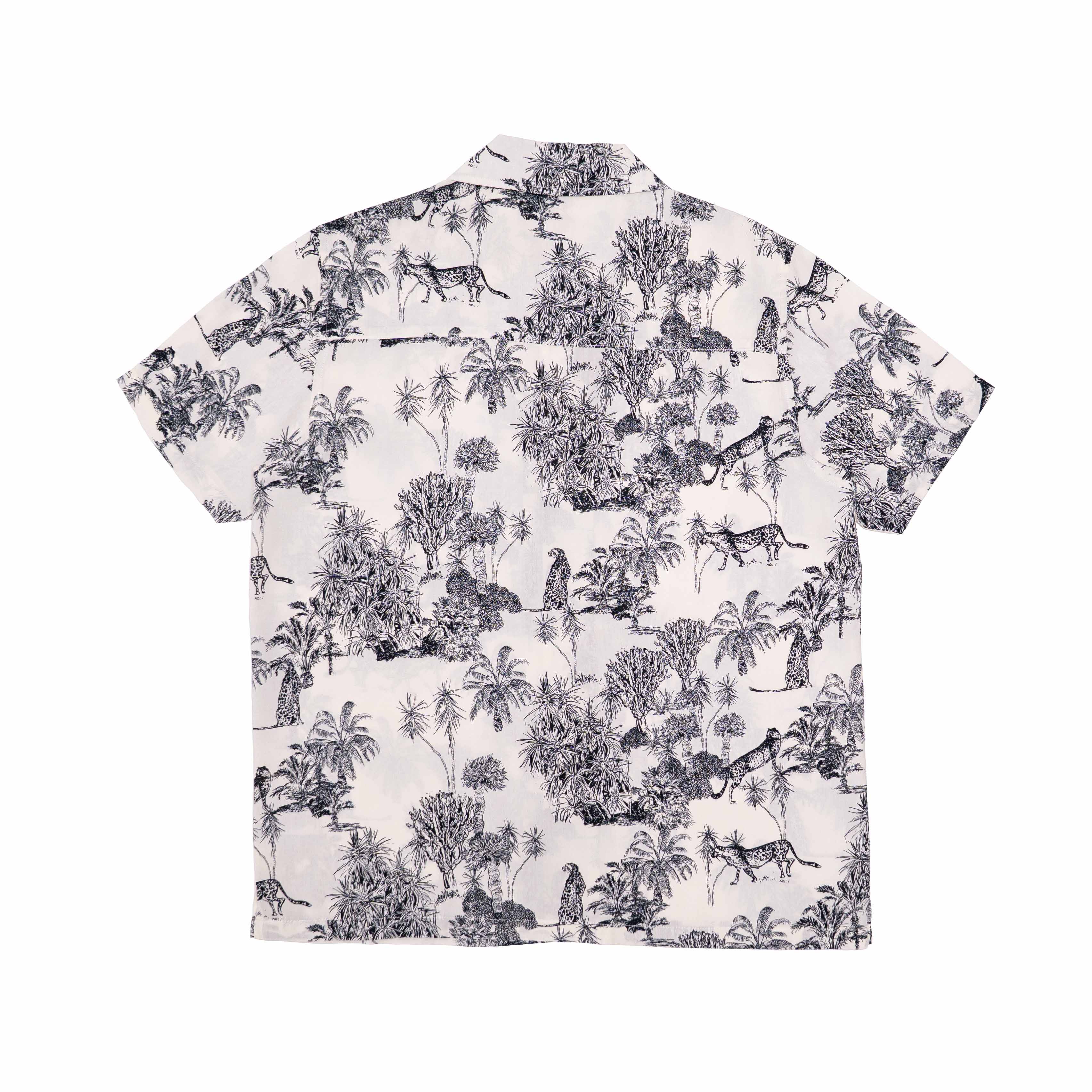 SAFARI